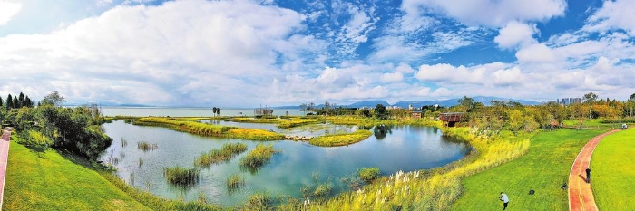 41e81d38-d9e4-49d4-8aeb-74c45a99d859.jpg 41e81d38-d9e4-49d4-8aeb-74c45a99d859.jpg